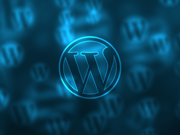 The Best Hosting Company for WordPress: Comparing SA, UK, and USA Providers