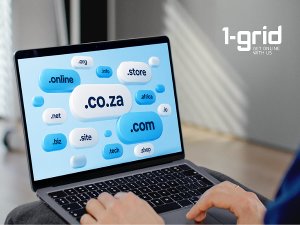 South African Domain Price Changes 2026