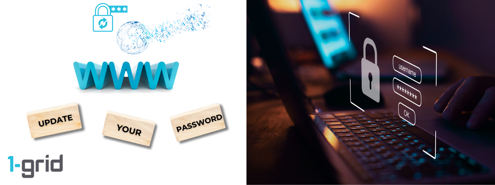 Updating Your 1-grid Customer Zone Password While Logged In 