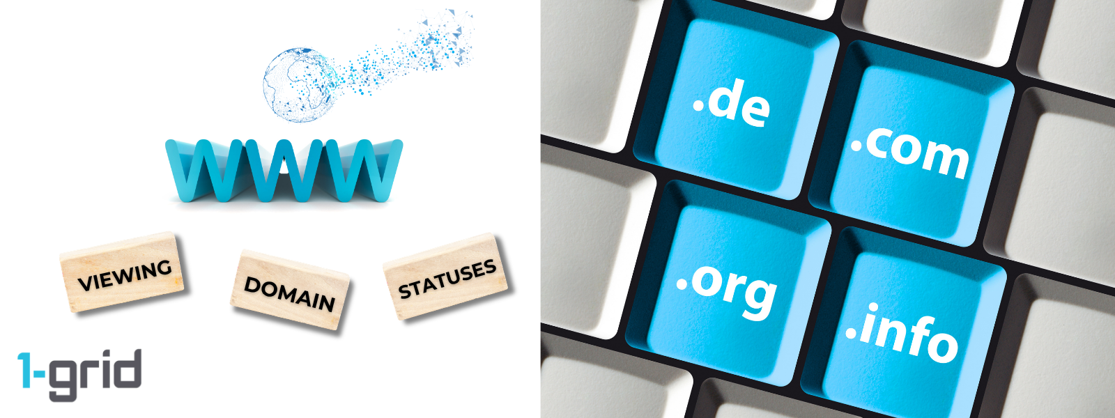 How To View All Your Domains in 1-grid’s Customer Zone