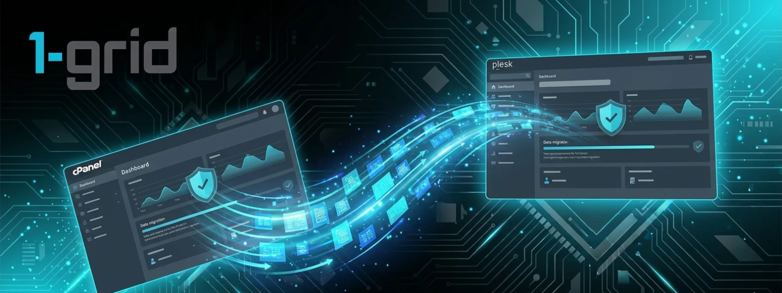 Migrating from cPanel to Plesk for Linux | 1-grid Knowledge Base