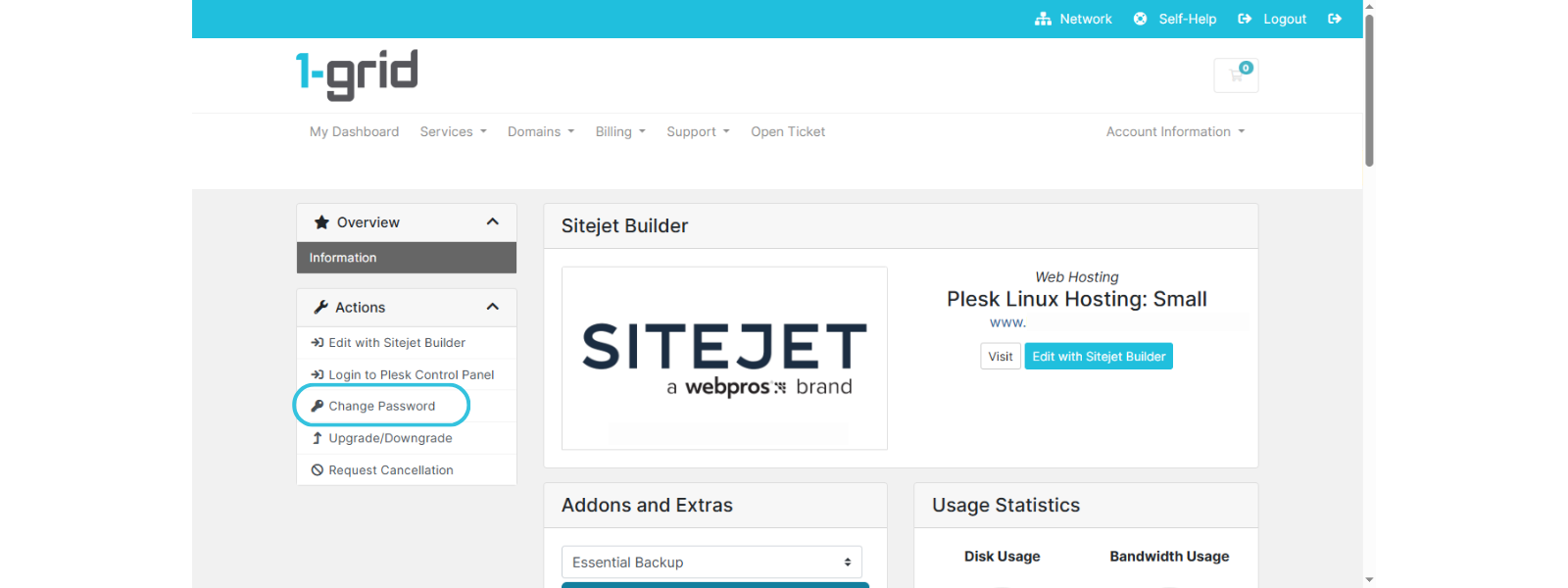Click change password for Plesk