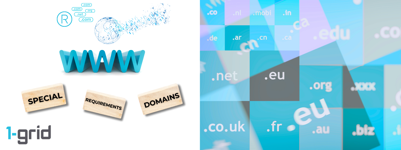 Understanding Domain Extensions with Special Registration Requirements