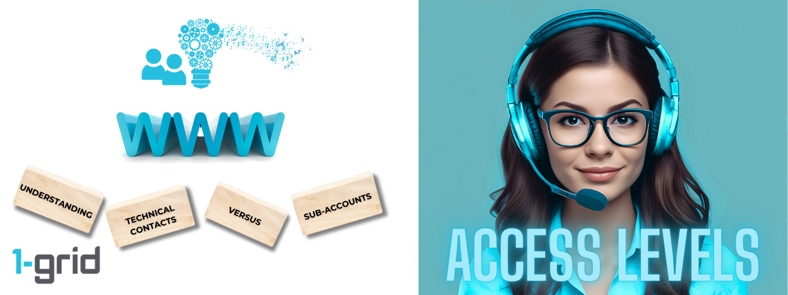 Understanding Technical Contacts vs Sub-Accounts