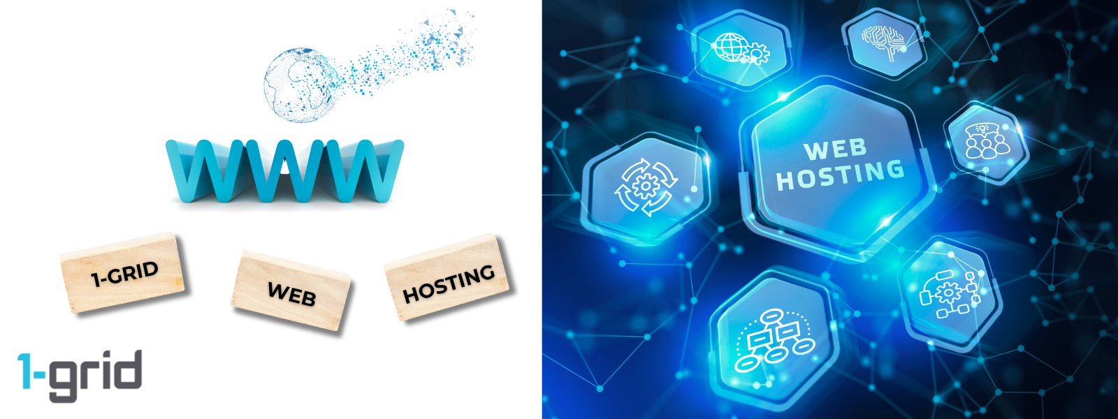 How to Choose the Best Hosting Option for Your Website with 1-grid 