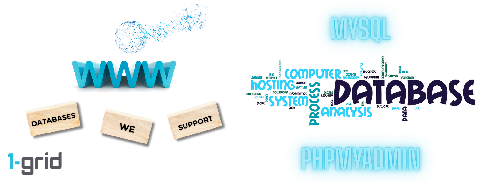 What Databases Does 1-grid Support?
