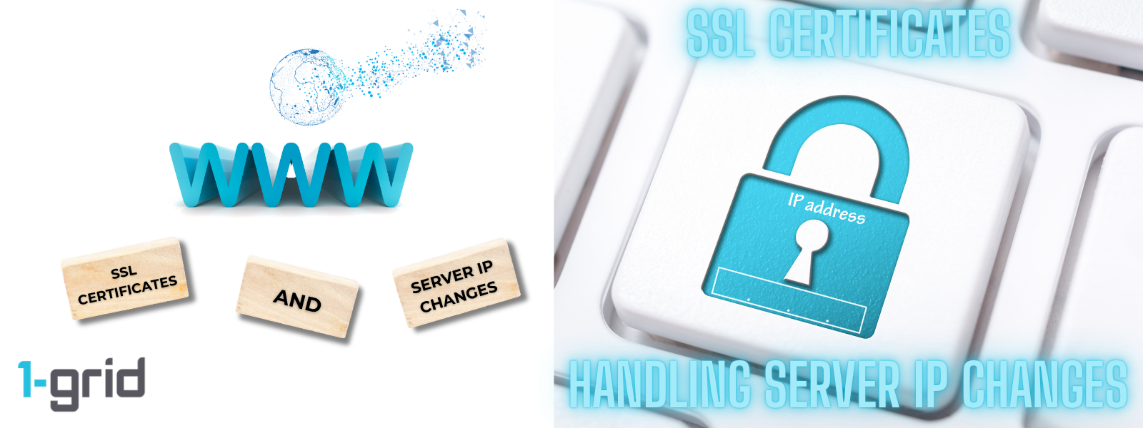 How 1-grid SSL Certificates Handle Server IP Changes