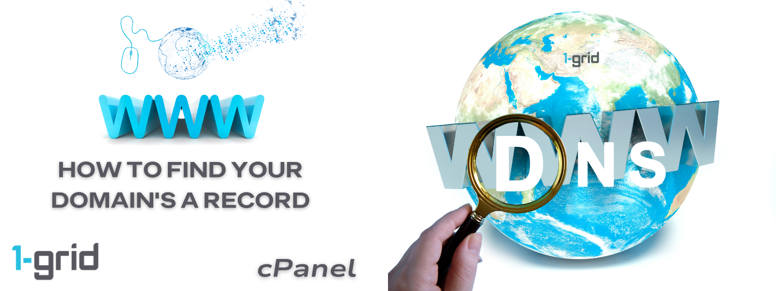 How to Find Your A Record in cPanel | 1-grid 