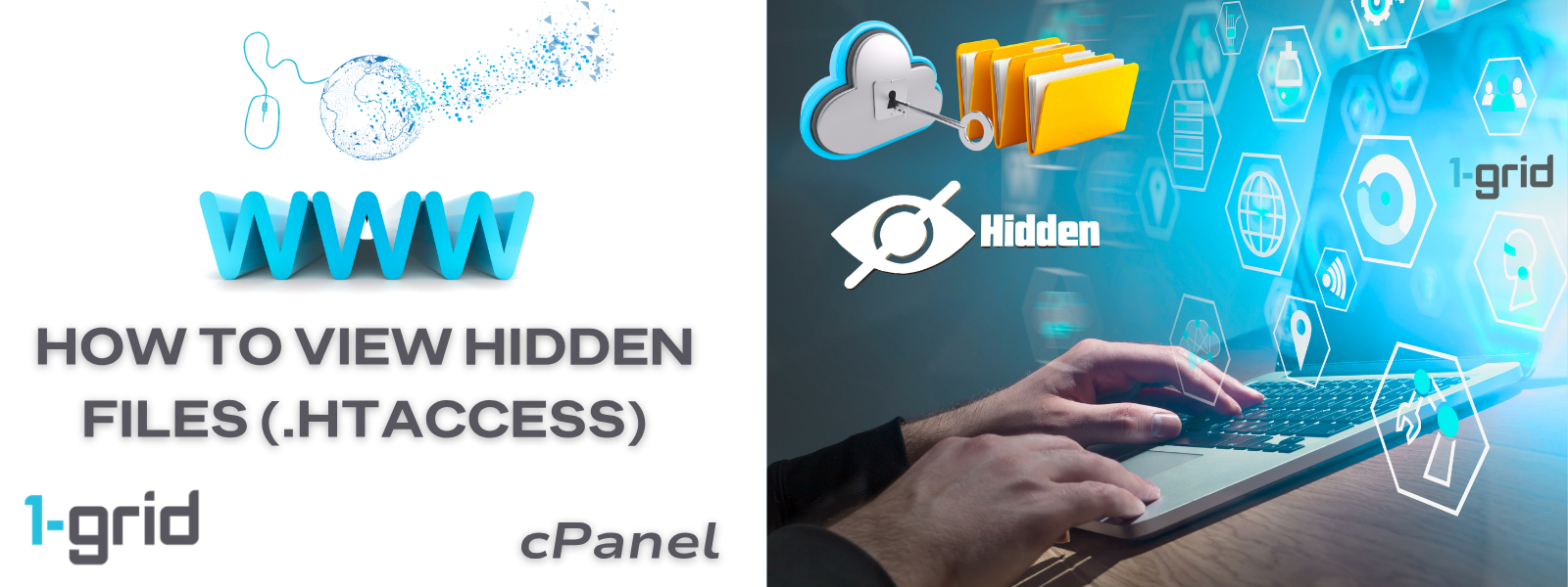 How to View Hidden Files (.htaccess) in cPanel | 1-grid 