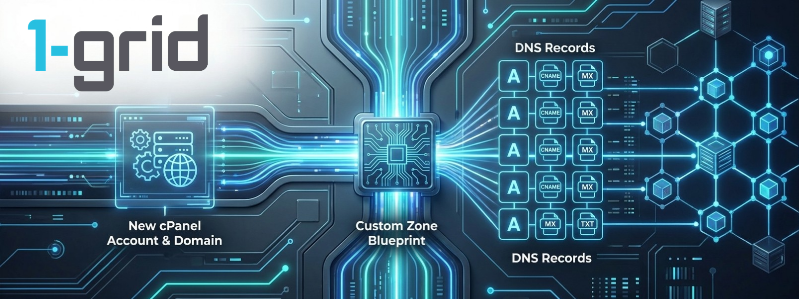How to Create a DNS Template in WHM | 1-grid